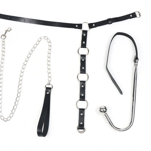 Anal Hooks Leash Collar with Kinky and Anal Hook EverydayUse 5853 0812
